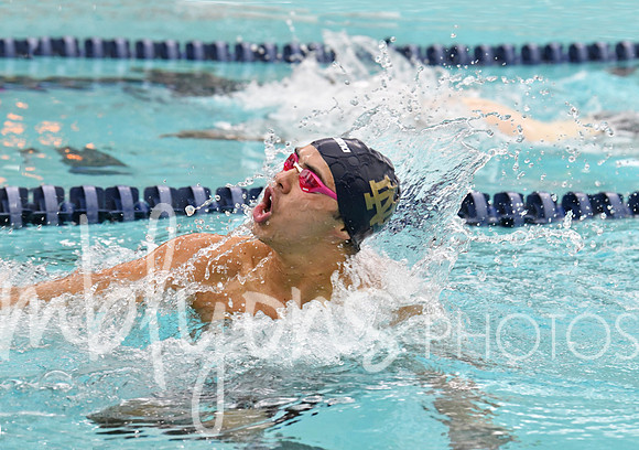DSC_2246-1_edited-1