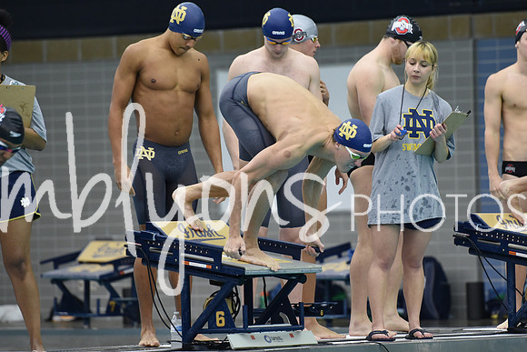 DSC_4548_edited-1