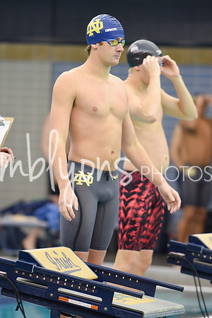 DSC_5311_edited-1
