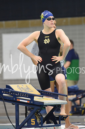 DSC_4733_edited-1