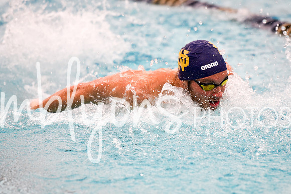DSC_5204_edited-1