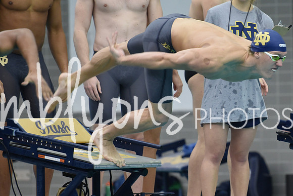 DSC_4549_edited-1