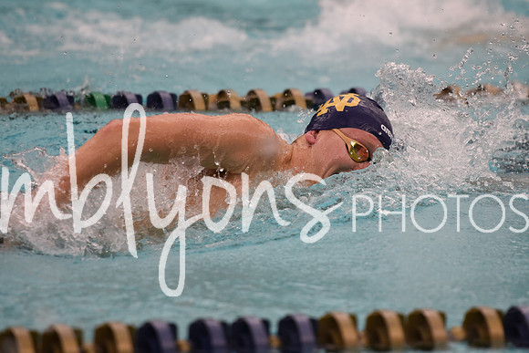 DSC_4867_edited-1