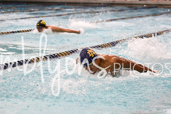 DSC_5551_edited-1