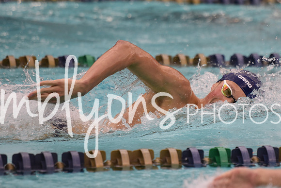 DSC_4966_edited-1