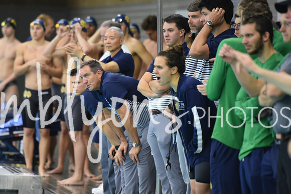 DSC_5508_edited-1