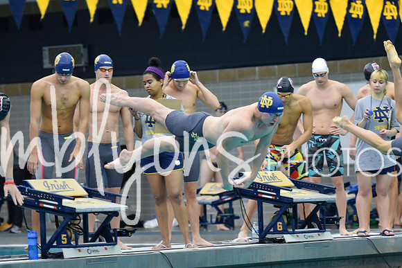 DSC_4533_edited-1