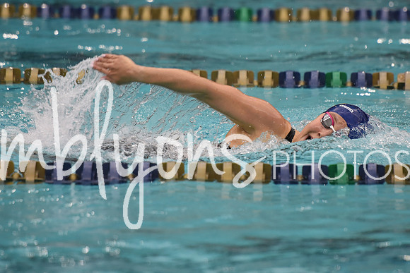 DSC_4695_edited-1