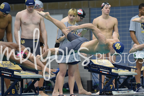 DSC_4550_edited-1