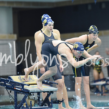 DSC_4502_edited-1