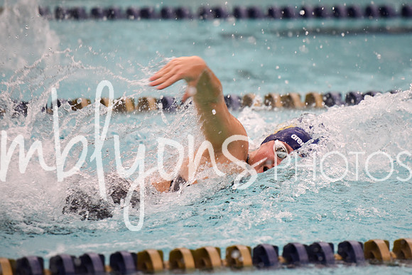 DSC_4517_edited-1