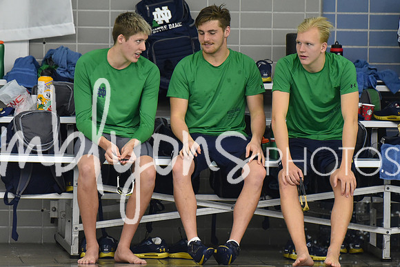 DSC_4563_edited-2