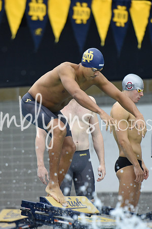 DSC_4553_edited-1