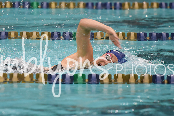 DSC_4696_edited-1