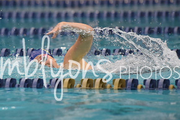 DSC_4719_edited-1