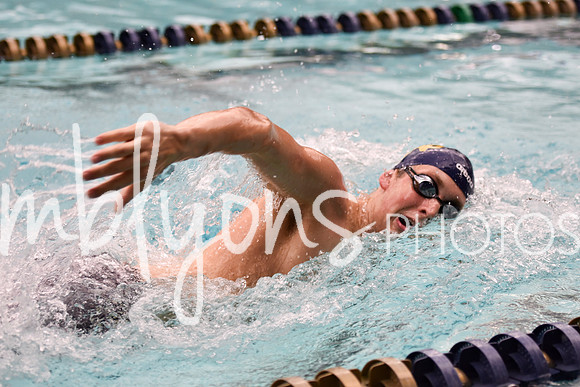 DSC_4870_edited-1