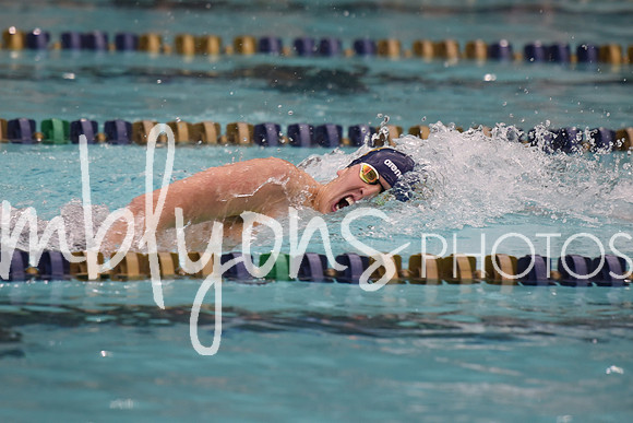 DSC_4952_edited-1