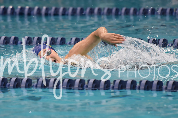 DSC_4713_edited-1