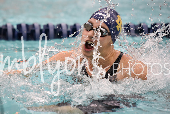 DSC_5371_edited-1