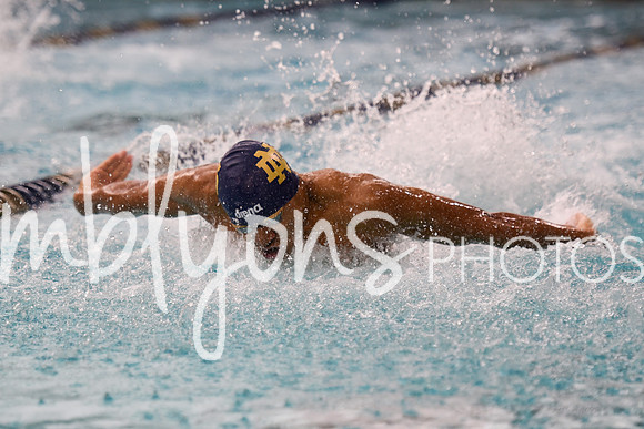 DSC_5546_edited-1