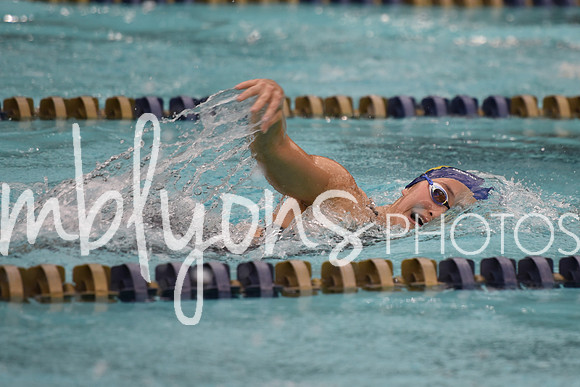 DSC_4600_edited-1