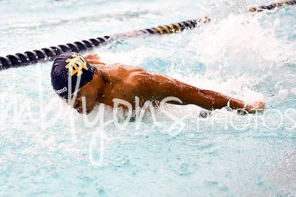DSC_5554_edited-1