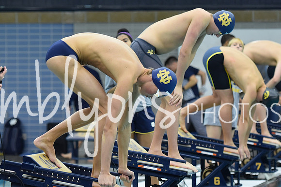 DSC_4913_edited-1