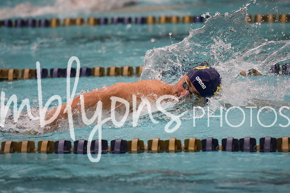 DSC_4847_edited-1