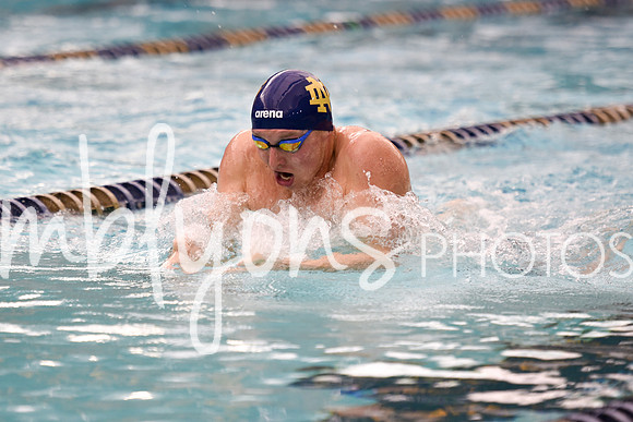 DSC_5470_edited-1