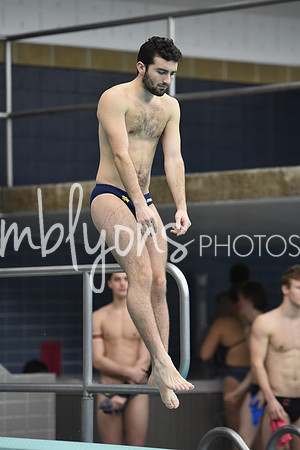 DSC_6112_edited-1