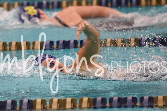 DSC_6154_edited-1