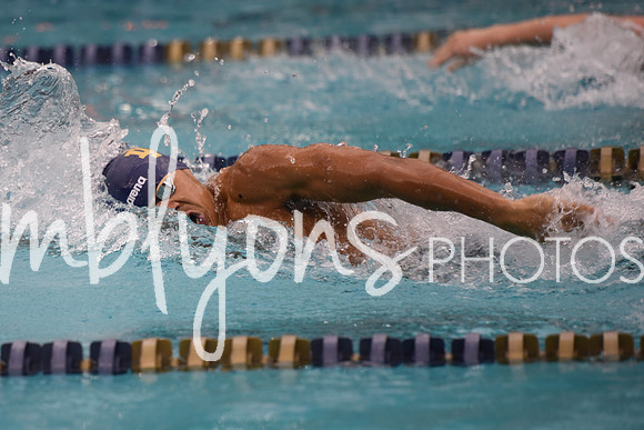DSC_6258_edited-1