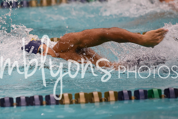 DSC_6255_edited-1