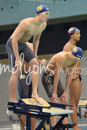 DSC_6465_edited-1