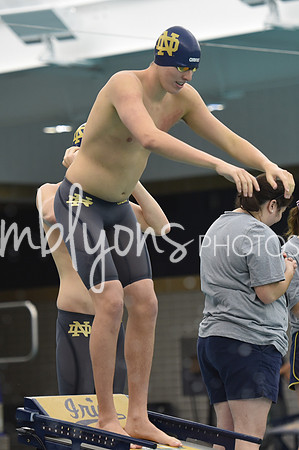 DSC_6462_edited-1
