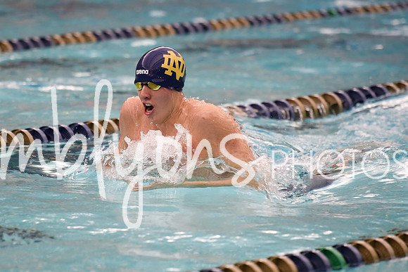 DSC_5650_edited-1