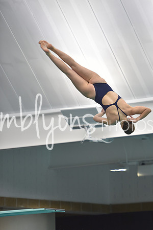 DSC_5702_edited-1