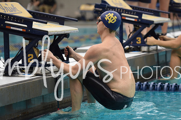 DSC_6440_edited-1