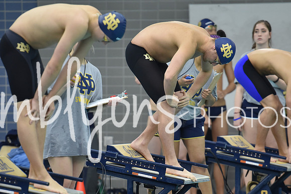 DSC_6241_edited-1