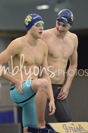 DSC_6464_edited-1