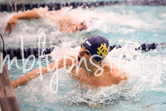 DSC_5662_edited-1