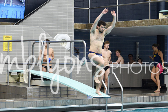 DSC_5812_edited-1
