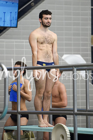 DSC_6108_edited-1