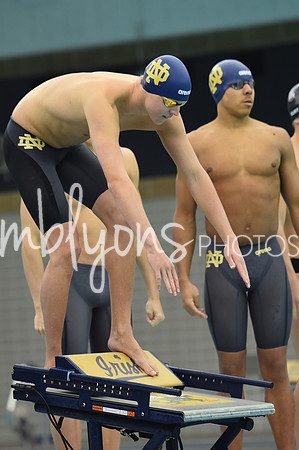 DSC_6461_edited-1