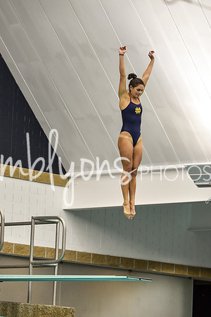 DSC_5888_edited-1