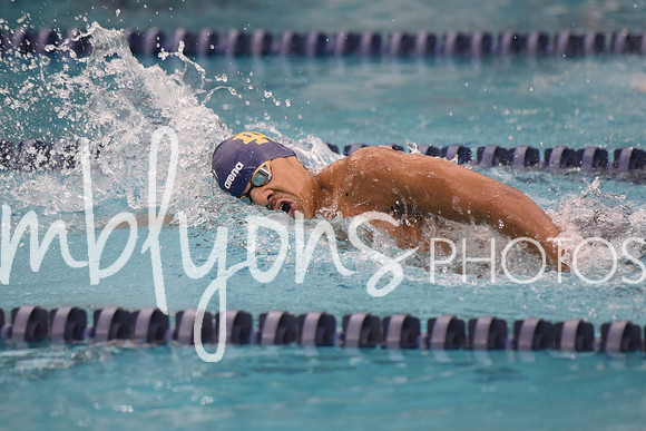 DSC_6261_edited-1