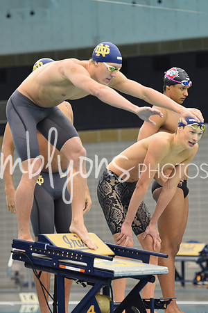 DSC_6467_edited-1