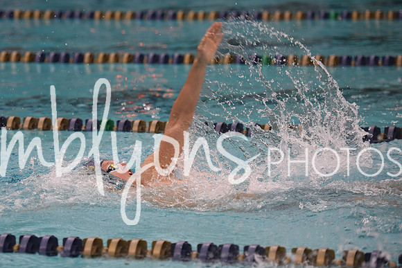 DSC_5931_edited-1