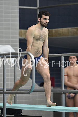 DSC_6111_edited-1