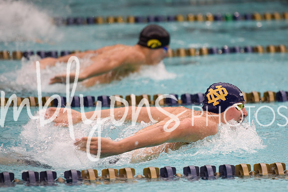 DSC_5985_edited-1